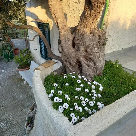 Casa Leonardo Apartment *